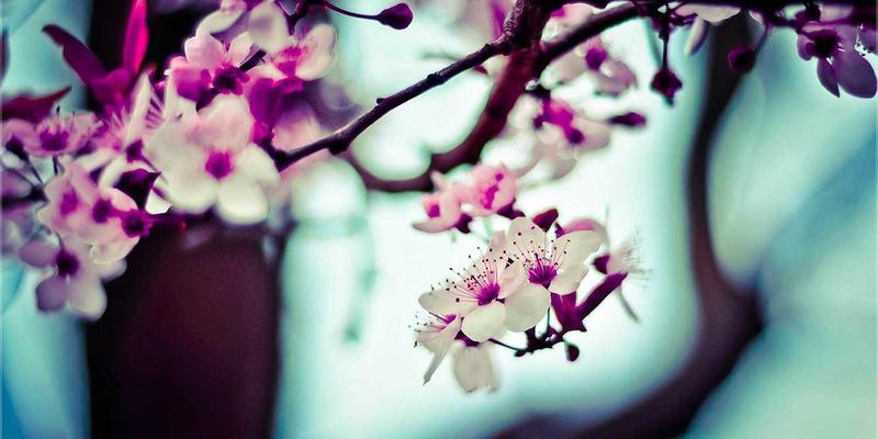 从基础到卓越：商务印刷进阶指南与赣汇印刷的专业实践