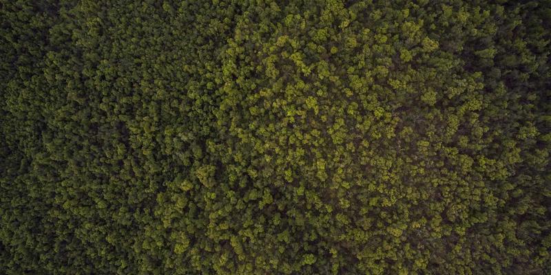 包装盒定制与画册印刷新纪元：3D打印与传统印刷融合的混合制造技术