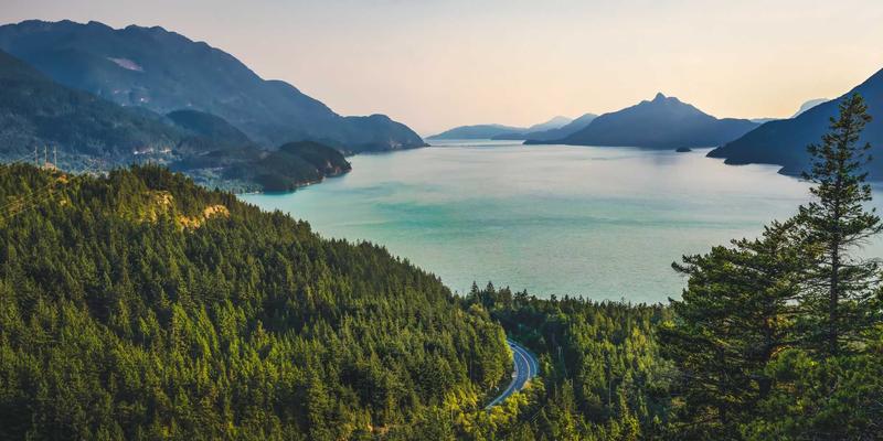 印刷18：现代印务服务如何赋能商务印刷与画册印刷的卓越品质