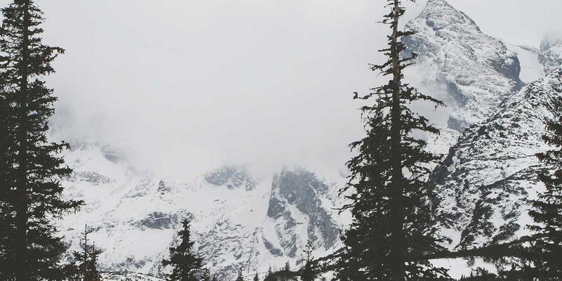 印刷3.0时代：画册印刷与包装设计的融合创新与品牌价值提升