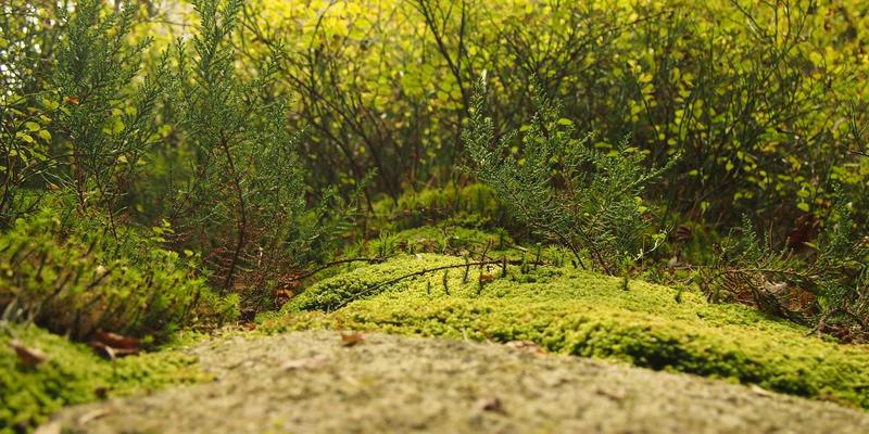 印刷37：揭秘赣汇印刷如何以包装盒定制赋能品牌价值