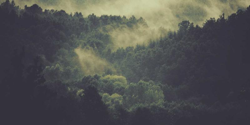 印刷48：包装盒定制、印务服务与包装设计的全流程解析