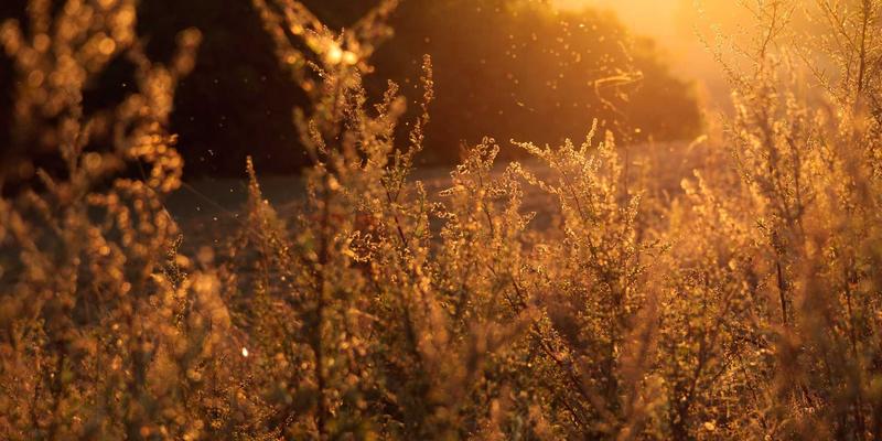 印刷64与包装设计新纪元：赣汇印刷如何以创新印务服务定义行业标准