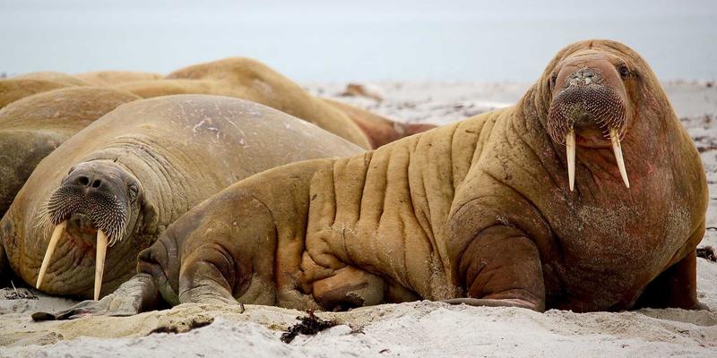 印刷94：包装盒定制、包装设计与印务服务的创新融合