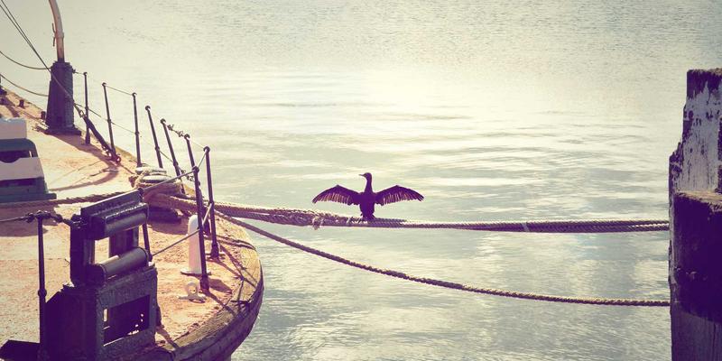 印刷对比指南：如何选择印务服务与商务印刷方案