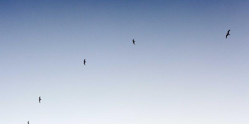 商务印刷品如何历久弥新？深度解析抗紫外线、防水与耐磨核心技术