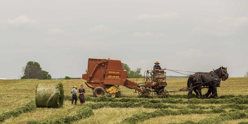 特种纸张如何重塑画册质感？赣汇印刷解析纸张选择对品牌形象的深层影响