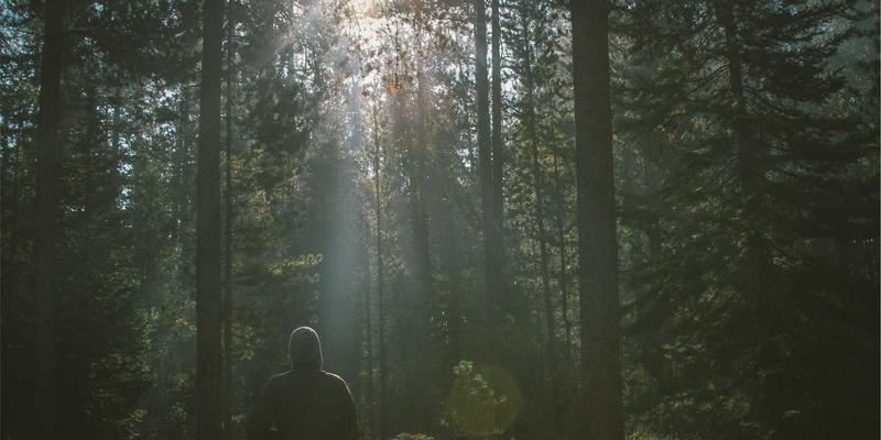 画册印刷与包装设计新蓝海：印刷行业如何通过个性化定制开拓跨境电商市场