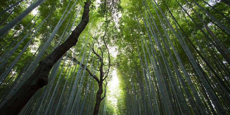 赣汇印刷解析：覆膜、上光、模切三大后道工艺如何决定画册印刷的最终品质